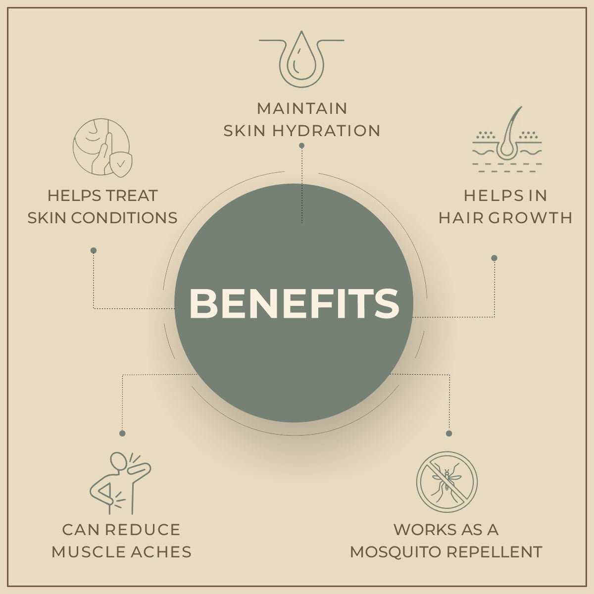 Salvia Natural Essential Oils Thuja Essential Oil Salvia Natural Essential Oils Thuja Essential Oil